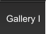Gallery I